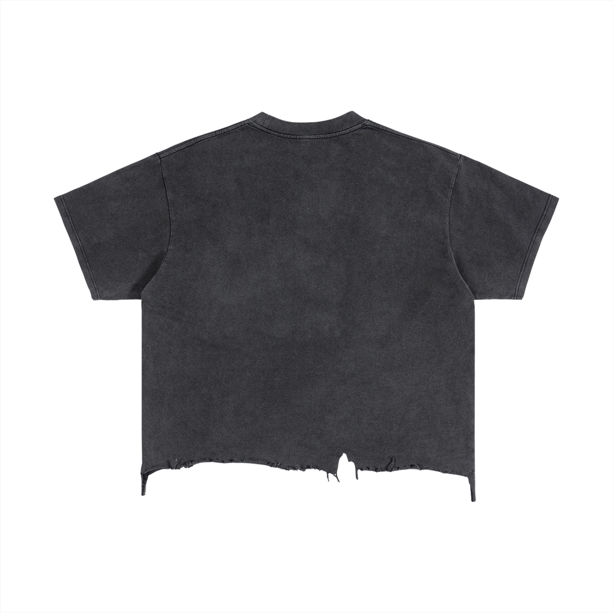 HG2 Distressed Crop Top