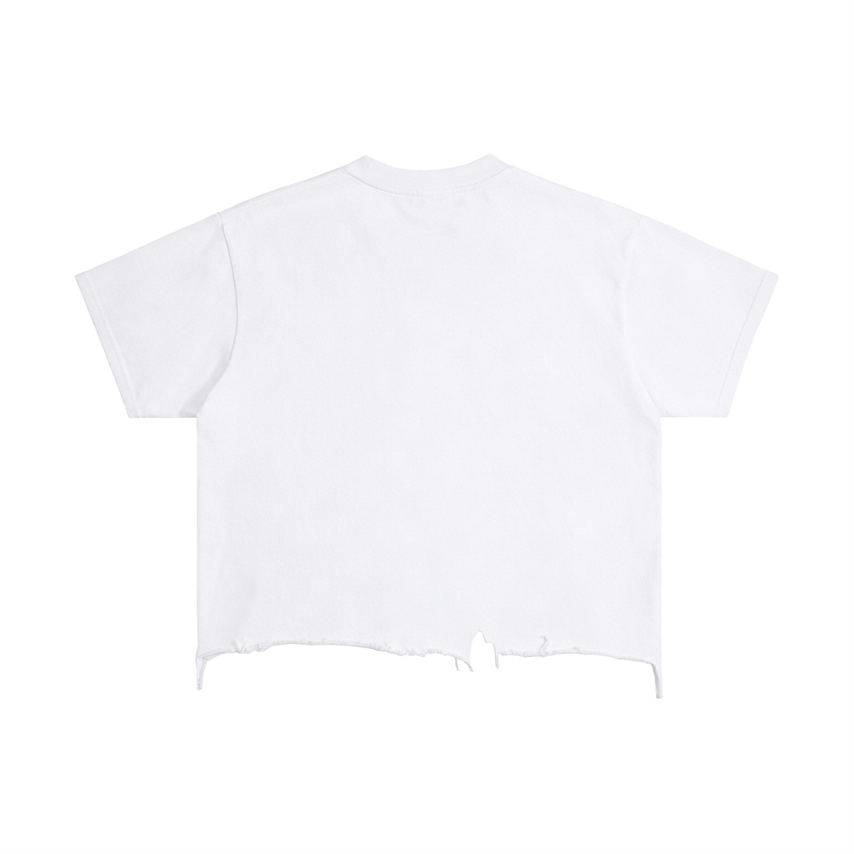 HG2 Distressed Crop Top